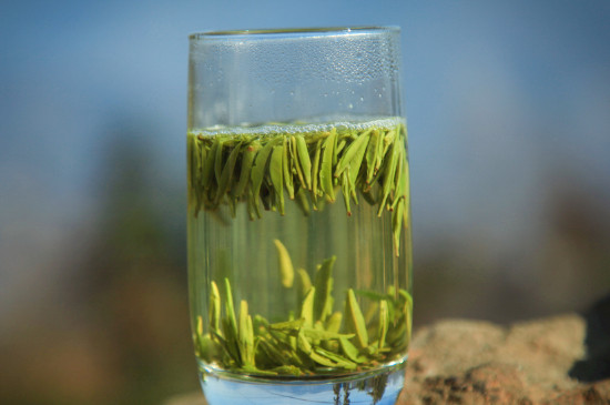 竹葉青茶泡不立起來怎么回事，竹葉青茶怎么泡立起來