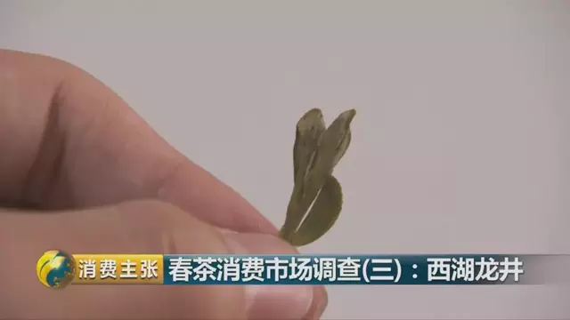 龍井群體種和43號(hào)的區(qū)別圖片，龍井43和群體種哪個(gè)好喝？