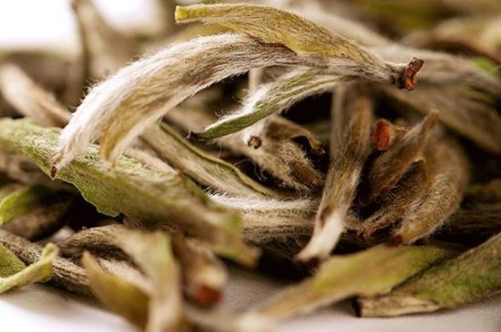 荒野銀針有什么特點(diǎn)，荒野銀針的味道口感咋樣？