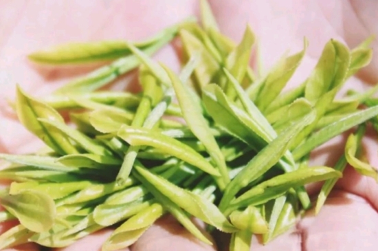 龍井是明前的好還是雨前的好，明前茶和雨前茶哪個(gè)好喝？