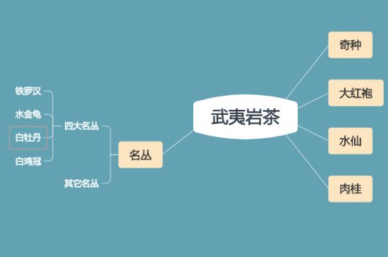 武夷巖茶品種大全，巖茶有幾種？