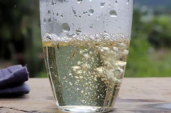 三年白茶賽砒霜，這是真的嗎？