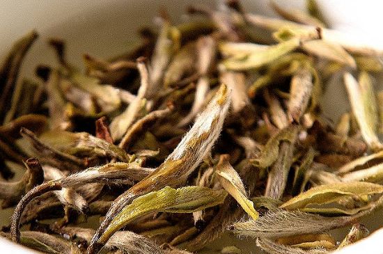 荒野銀針市場(chǎng)價(jià)多少，真正的荒野白毫銀針多少錢(qián)？