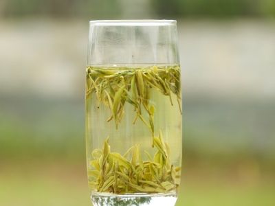 霍山黃芽算是好茶嗎，霍山黃芽屬于什么茶？
