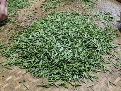 金駿眉幾年可以算陳茶，金駿眉新茶好還是老茶