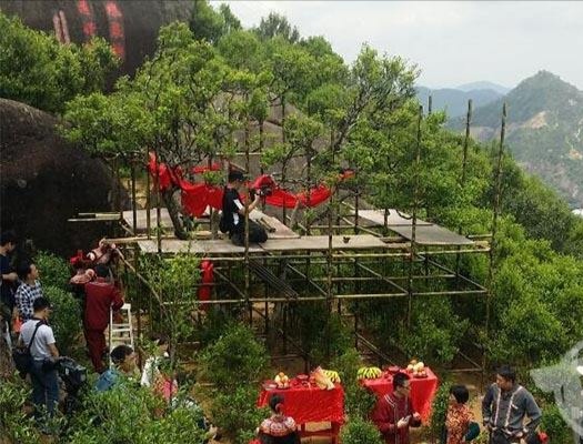 宋種一號價值為什么高，鳳凰單樅宋種1號價格與產(chǎn)量多少？