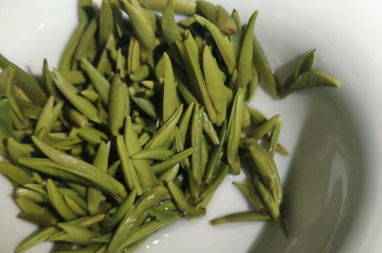 竹葉青茶怎么泡，竹葉青如何沖泡