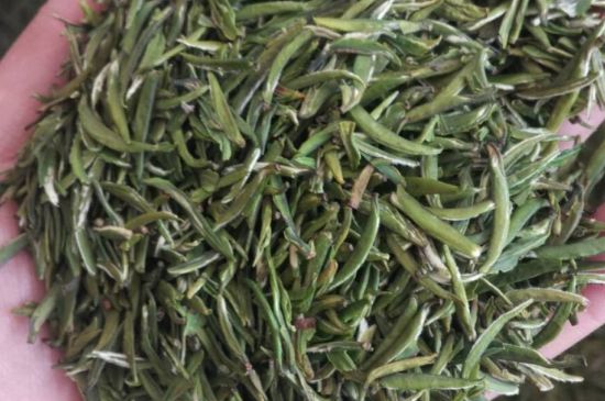 金壇雀舌算不算好茶，金壇雀舌屬于什么檔次茶葉？