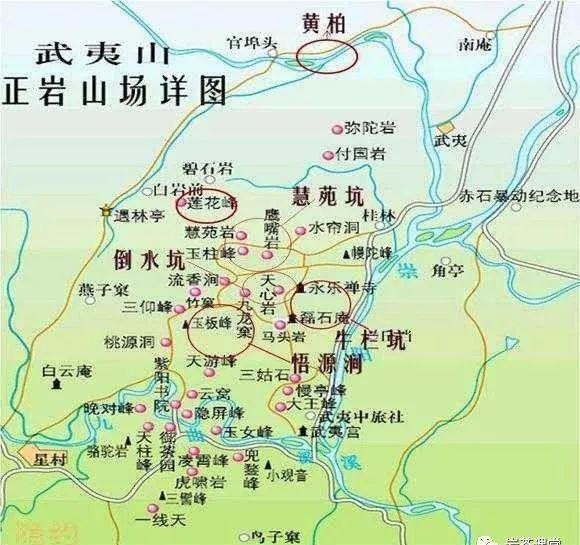 肉桂茶和大紅袍哪個(gè)貴，武夷山肉桂與大紅袍的價(jià)格比較