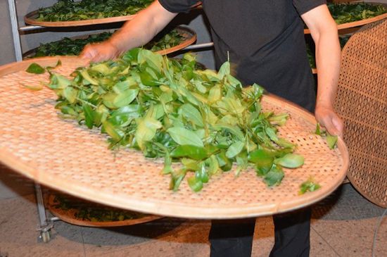 鐵觀音加香精騙局，鐵觀音的香味是添加香精了嗎？