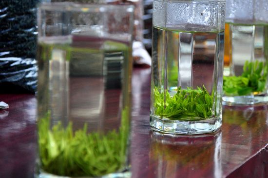 綠茶放了三年還能喝嗎，綠茶放久了喝了會怎樣