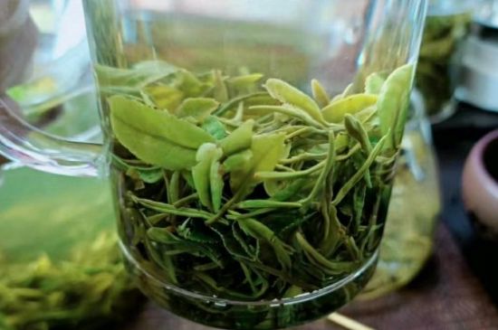 什么綠茶味道濃香，那個(gè)綠茶比較濃香？