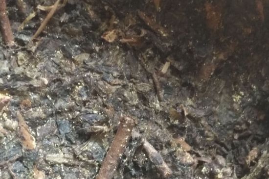 黑茶茯茶保存五大忌，茯茶收藏的注意事項(xiàng)