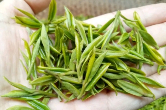 什么是雪前龍井茶，明前、雨前、雨后龍井有什么區(qū)別？