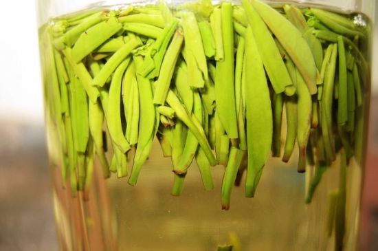 雀舌為何喝著是苦的，雀舌味道怎么那么苦澀？