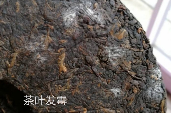 西湖龍井茶毫和發(fā)霉區(qū)別圖片，長霉的龍井茶葉會是什么樣？