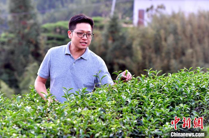 “臺二代”張?jiān)栏＝ㄉ钌椒N茶十年：“來了，就對了”